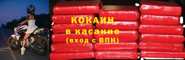 прущие грибы Белоозёрский