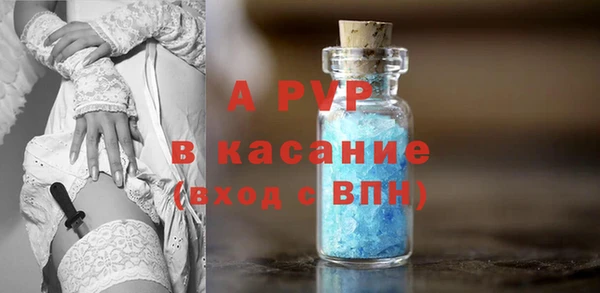 a pvp Белокуриха