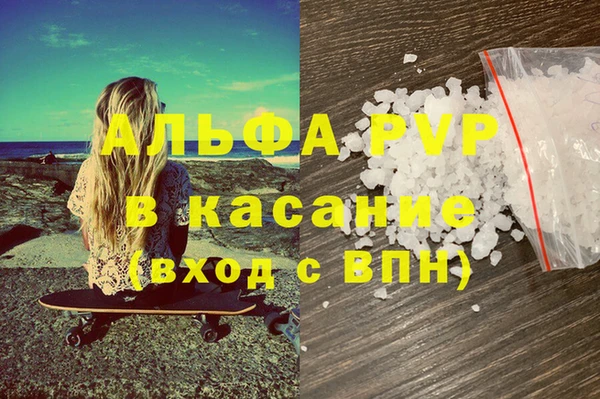 прущие грибы Белоозёрский