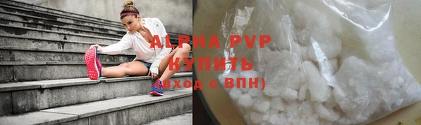 прущие грибы Белоозёрский