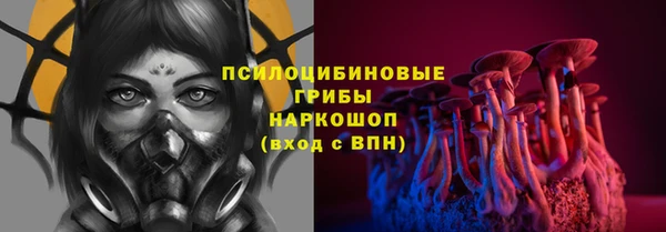 a pvp Белокуриха