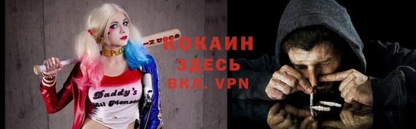 a pvp Белокуриха