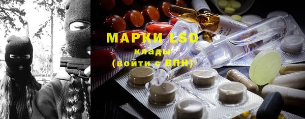 прущие грибы Белоозёрский