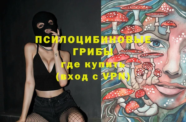 прущие грибы Белоозёрский