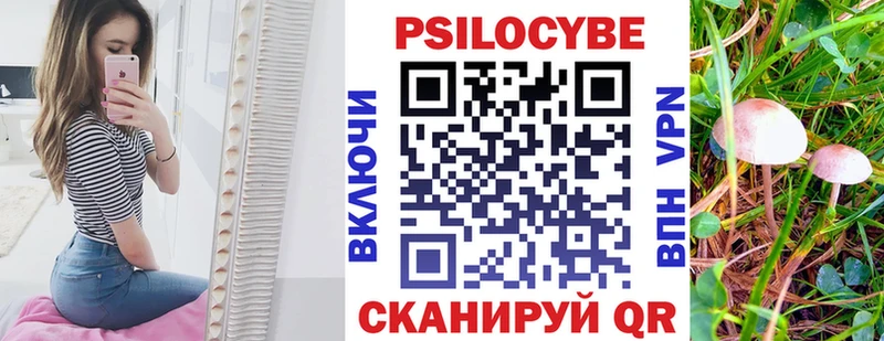 kraken как зайти  Новый Уренгой  Галлюциногенные грибы GOLDEN TEACHER 