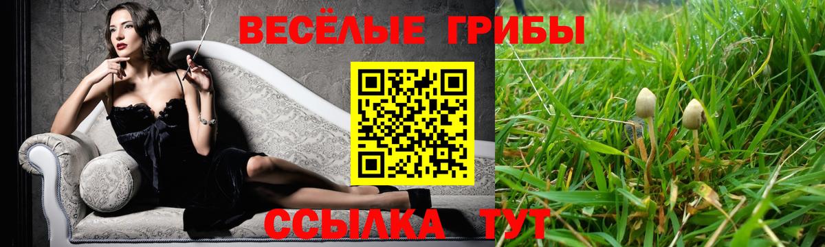 Галлюциногенные грибы Psilocybine cubensis  Вход с VPN  Новый Уренгой  Галлюциногенные грибы ЛСД 